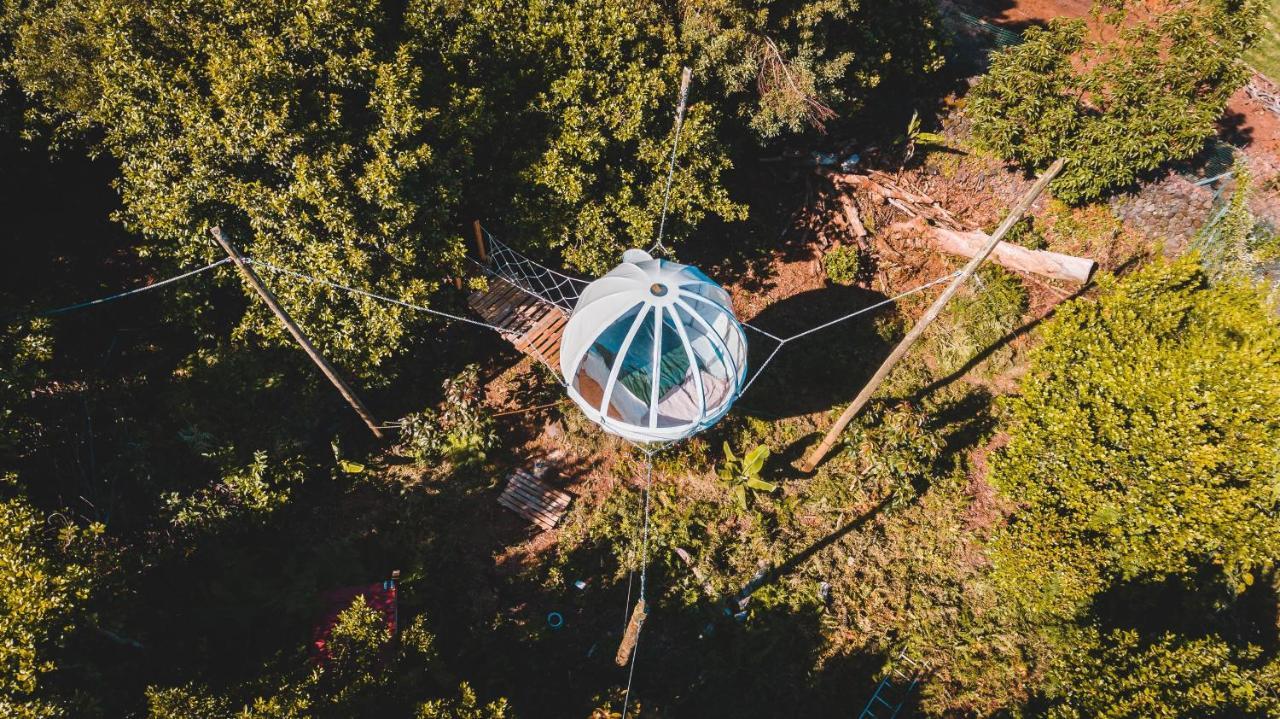 Вилла Quinta Do Abacate - Glamping Park Ангра-ду-Эроижму Экстерьер фото