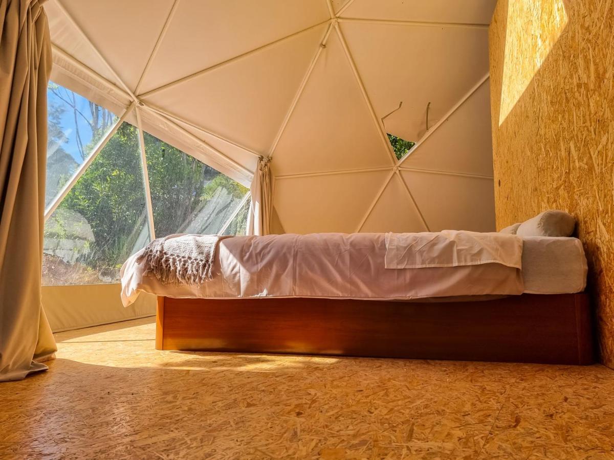 Вилла Quinta Do Abacate - Glamping Park Ангра-ду-Эроижму Экстерьер фото