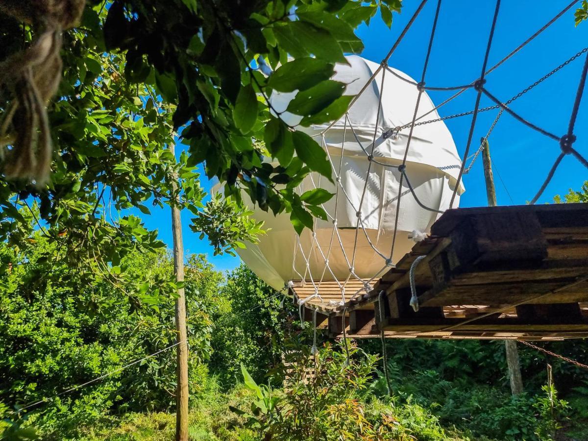 Вилла Quinta Do Abacate - Glamping Park Ангра-ду-Эроижму Экстерьер фото