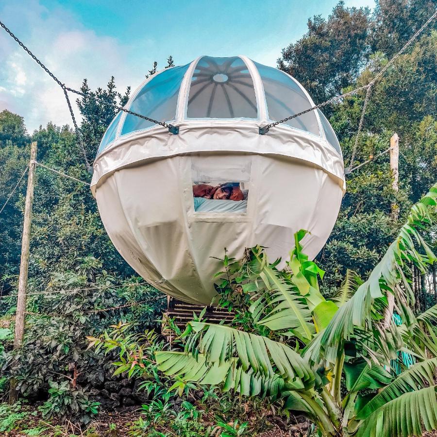 Вилла Quinta Do Abacate - Glamping Park Ангра-ду-Эроижму Экстерьер фото